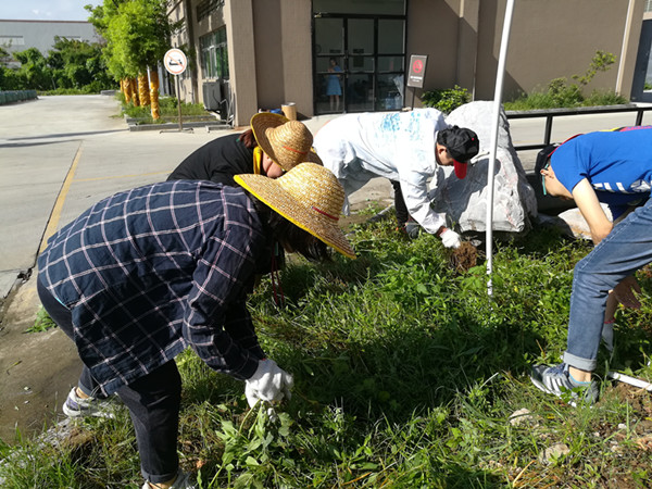 【員工風采】阿里大師集團組織開展義務勞動拔草除雜美化廠區(qū)