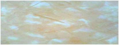 喬瓦尼藝術(shù)涂料 喬瓦尼藝術(shù)涂料