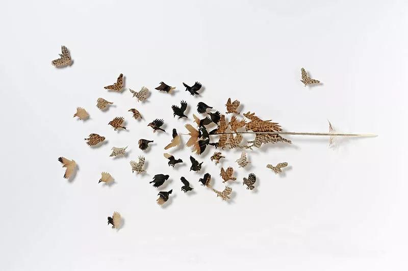 阿里大師水漆 阿里大師水漆