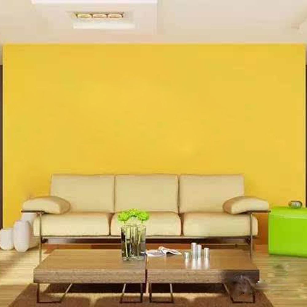 timg (8).jpg timg (8).jpg